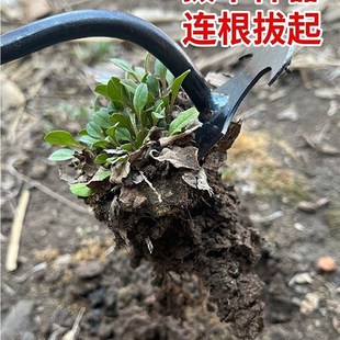 除草神器连根拔草器锄草不锈钢草G坪缝隙连根多功能铲草除草 新款