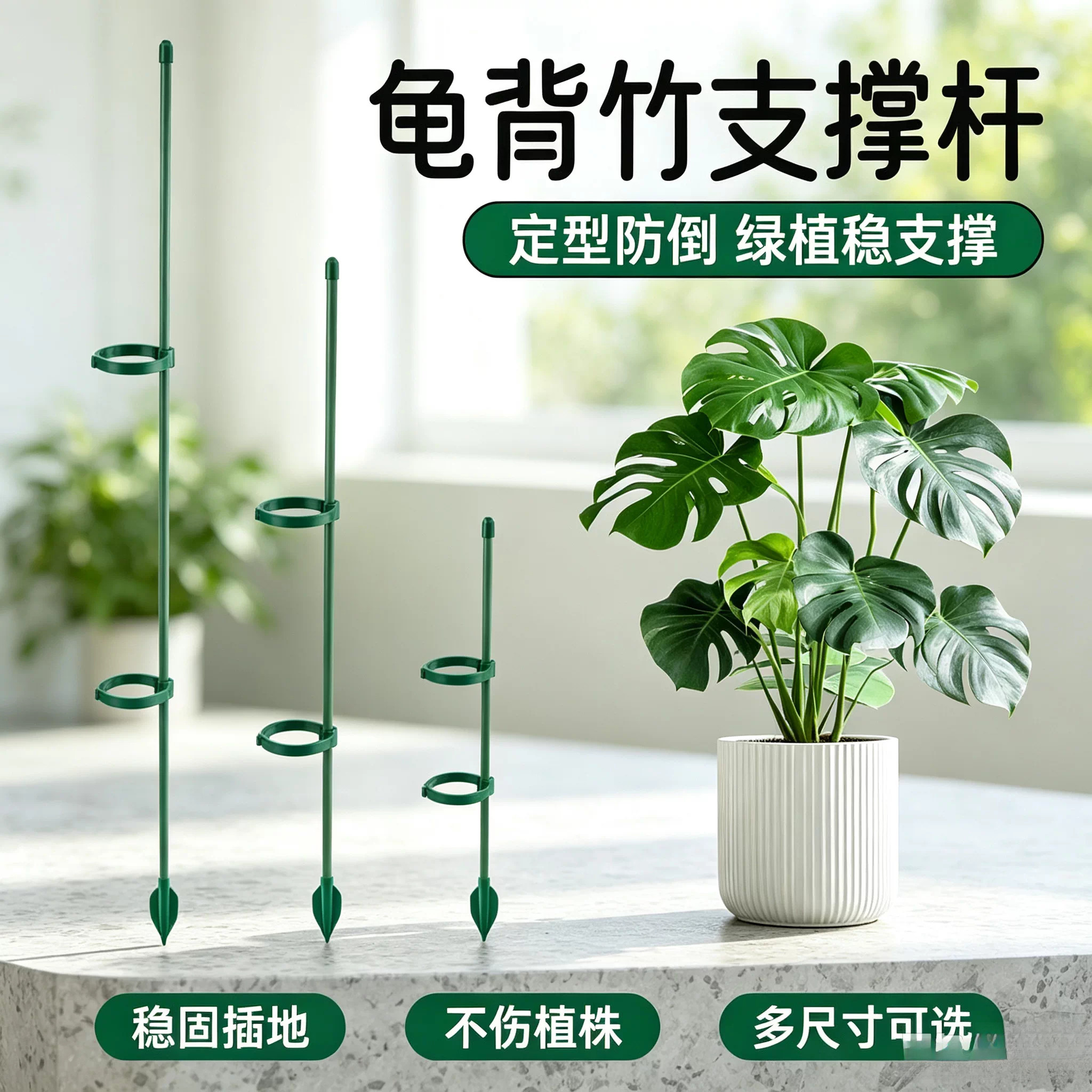 龟背竹支撑杆 绿植防倒伏固定支架 春羽蔓绿绒盆栽定型支撑花架图片