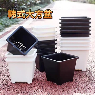 塑料加厚多肉花盆树脂景天群生仙人球盆组合盆小黑白方盆多肉专用