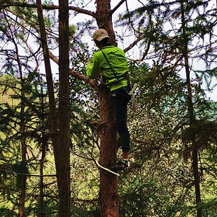 高档电工脚扣爬树神器上树专用工具电信木杆脚扣登杆脚扣国标加厚