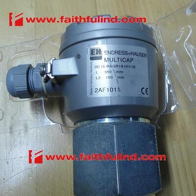 议价E+H DC16-RAGR1A1H11B 恩德斯豪斯全新电容物位计 Multicap