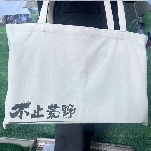 不止荒野2023新款户外烧烤炉专用帆布袋手提大容量收纳袋一键收纳