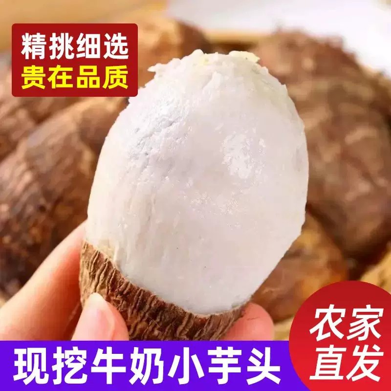 新鲜芋头现挖贵州牛奶小毛