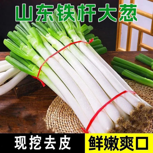 【整箱】新鲜大葱山东批发