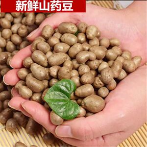 山药豆喜回眸产地直供