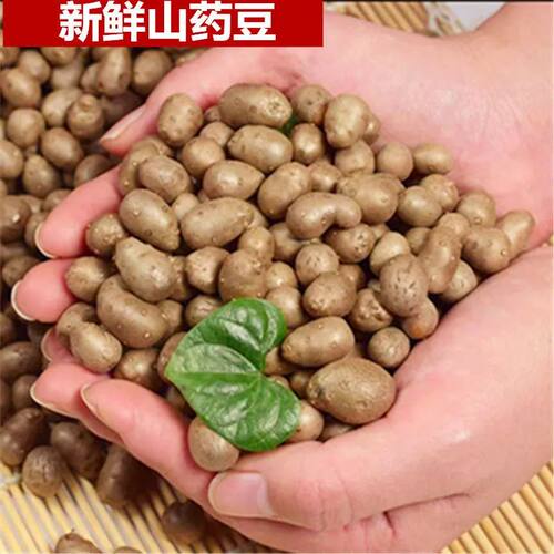山药豆喜回眸产地直供