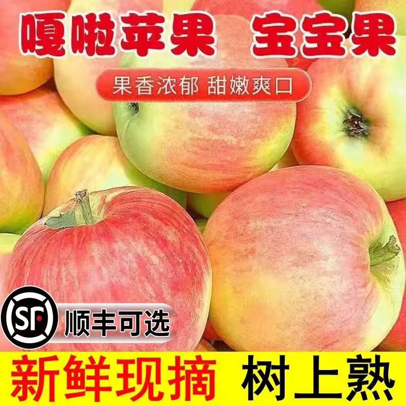 【现摘】头茬嘎啦苹果脆甜新苹果丑苹果孕妇新鲜水果整箱批发包邮