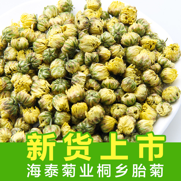 新货桐乡胎菊花茶散装杭白菊花果茶菊花 胎菊散装