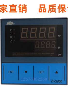 东辉DY21FR020P DY21FR0604M DY29FR061 DY29D1108 数显控制仪