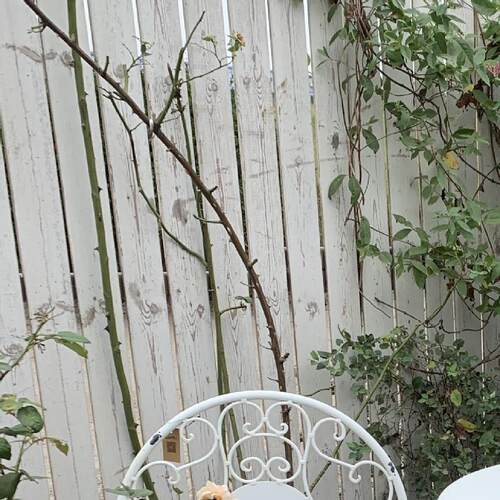 Garden Furniture One Table Two Chairs