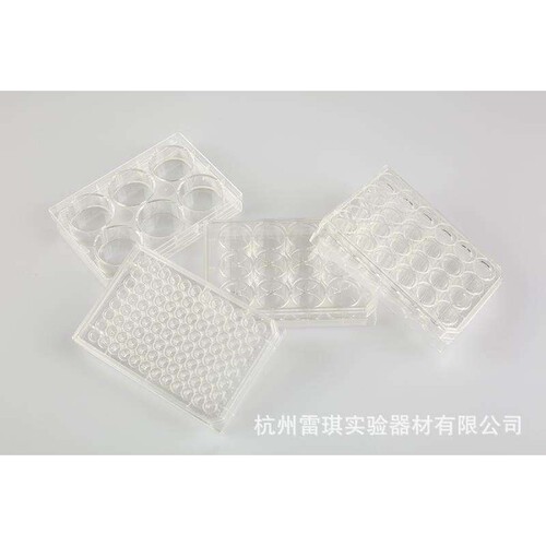 Bioland贝兰伯 细胞培养板CCP06-012 _6孔细胞培养板；100个/箱