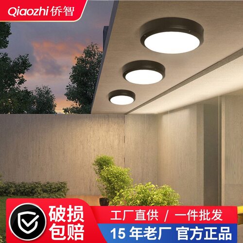 三防吸顶灯简约户外防水防虫阳台走廊别墅庭院房檐屋檐超亮吸顶灯