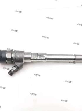 柴油共轨喷油器0445110494总成阀组件F00VC01494