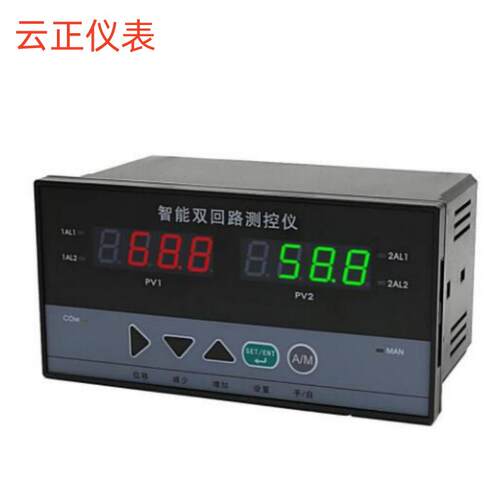 XWP-D823-022-12/12-2H2L-P智能型双回路显示控制仪