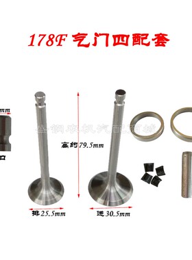 微耕机配件 186风冷柴油机气门四配套 170F 178 188 192 导管座圈