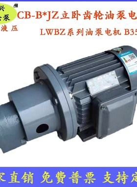 CB-B16/B20/B25/B32JZ齿轮油泵电机组LWBZ-16/25/32/20立卧式泵组