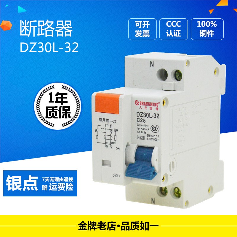 DZ30L-32漏电断路器空气开关2进2出2P家用保护器220V单相漏保DPN