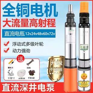 德国进口直流潜水泵48v60v72v电瓶车抽水泵大功率高扬程全铜农电
