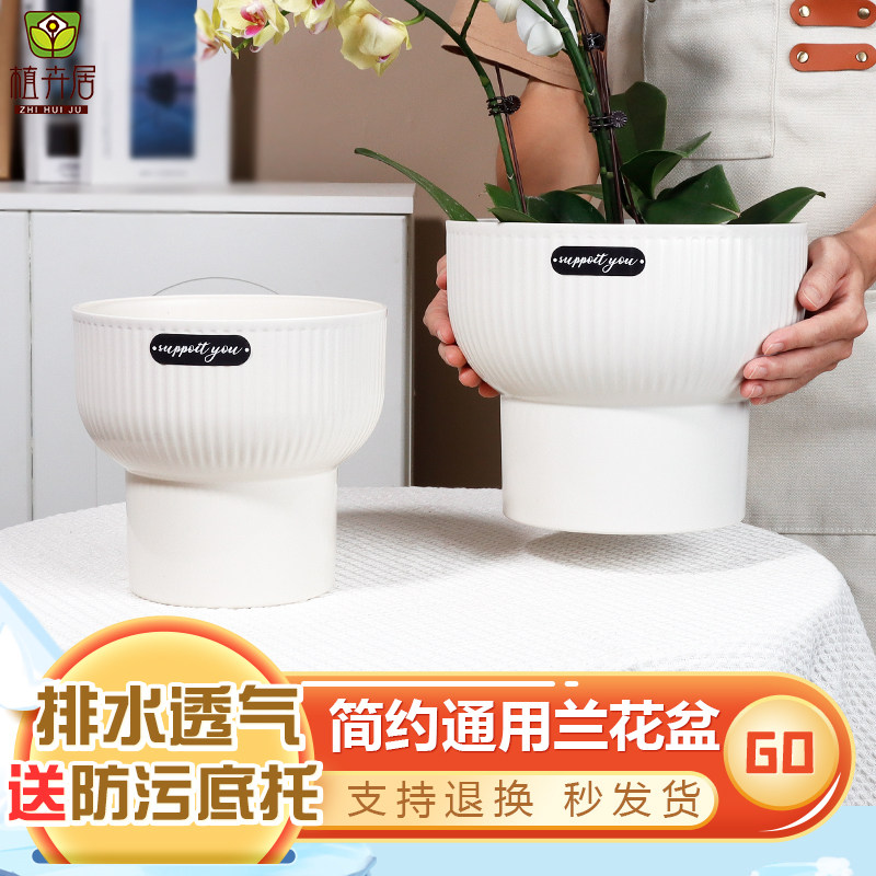 树脂简约蝴蝶兰专用盆图片