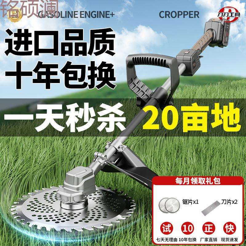 Xdd进口电动割草机小型家用除草机充电式草坪修剪机锂电多功能打