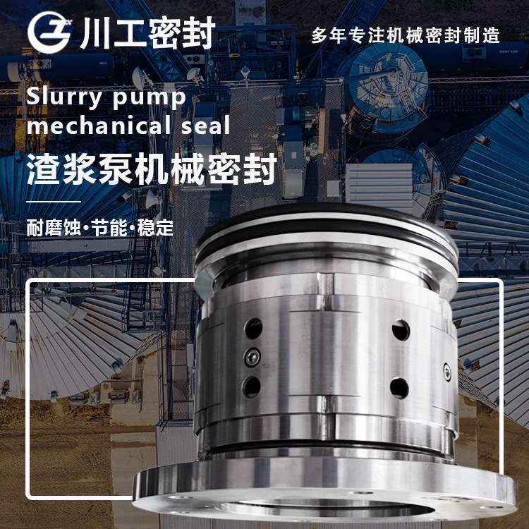 200ZJ-I-A60(58)\150ZJ-I-A50(45) 石家庄工业渣浆泵机械密封件