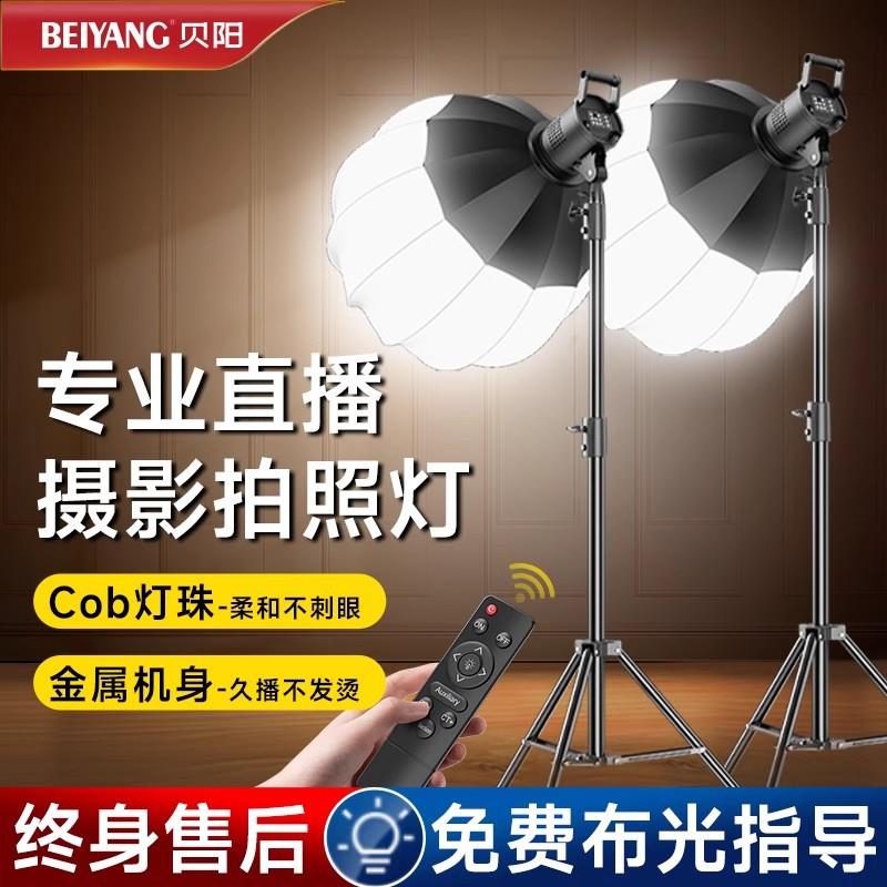 贝阳500wt专业直播补光灯主播专用Led球形打光灯室内拍摄视频