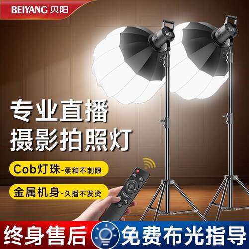 贝阳500wt专业直播补光灯主播专用Led球形打光灯室内拍摄视频