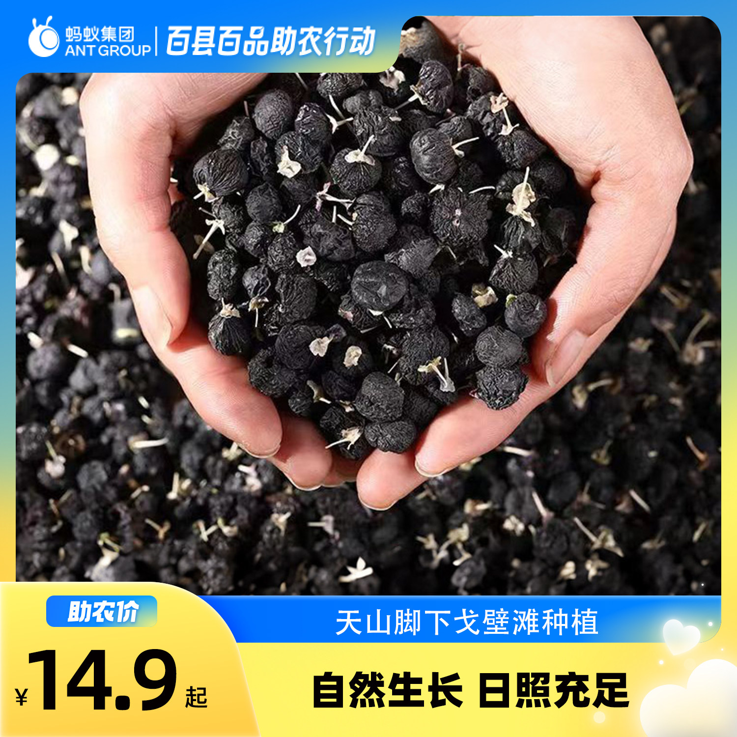 【黑枸杞】新疆黑枸杞干果泡水养生茶,零食/坚果/特产,其它,淘宝优惠券,粉丝福利购,淘宝优惠卷