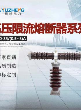 RXWORW10-35RW9RXWO-35KV高压限流熔断器0.1A2A3A-1