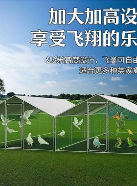 养殖鸡棚鸡笼室外兔笼鸽子笼家禽防雨笼子搭建简易鸡舍养鸡棚全套