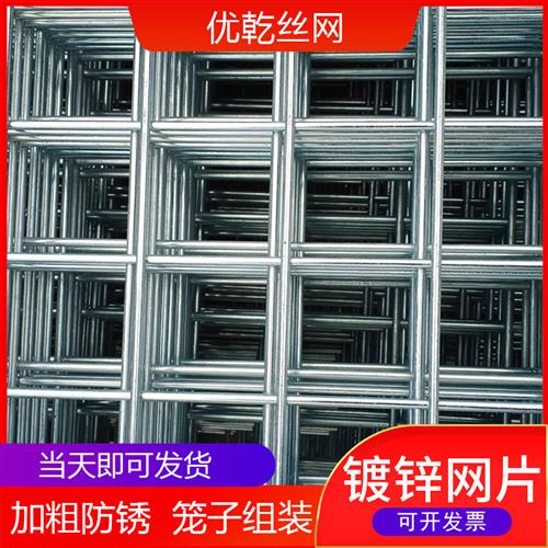 铁丝网围栏镀锌网片加厚加粗建筑网钢丝网格养殖隔离网