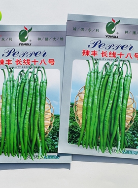 辣丰长线十八号中熟丰产线椒种子果实脆绿色辣味香浓长线椒种籽子
