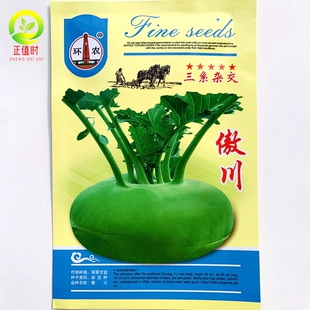 傲川苤兰种籽早熟三系杂交菜种孑青苤蓝球形扁圆春秋种植蔬菜种子