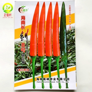 海南长剑8号10号大果朝天椒种子耐热耐湿青红两用单生朝天椒种籽