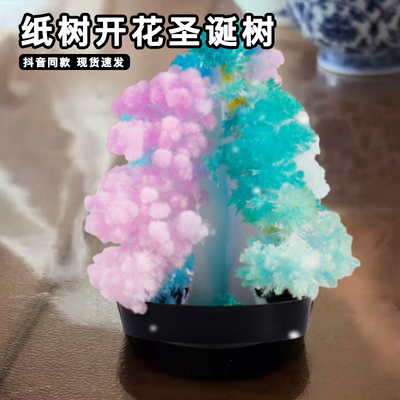 纸树开花圣诞树童年回忆种植浇水开花生长魔法结晶科学实验玩具