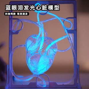 蓝眼泪发光心脏模型仿真血液循环超逼真人体解剖结构科学实验玩具