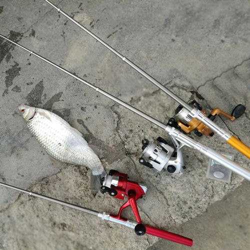 钢笔鱼竿便携迷你碳素小海竿海杆抛竿套装鱼竿路亚竿儿童钓鱼钩