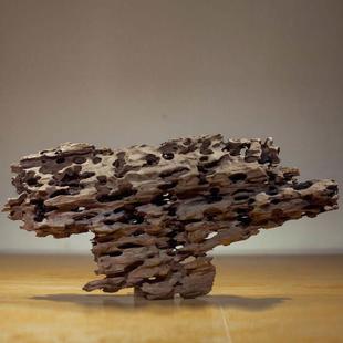 鱼缸中小虾型草缸造景沉木蜂窝木树水族箱装饰木桩免煮XHZ秒沉小