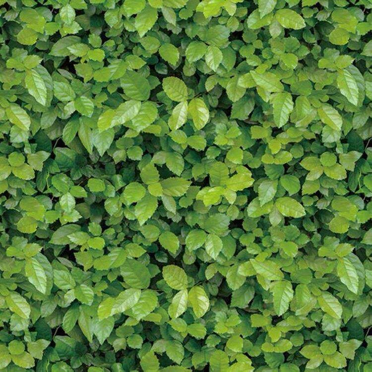 草坪墙壁贴纸翻新店铺清新绿叶壁纸饭厅客厅背景墙贴自粘防水壁纸