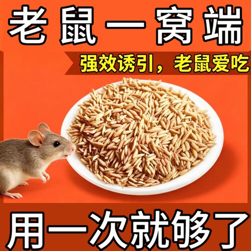 老鼠药家用超强力灭鼠药毒高老鼠特效非神药锅端耗子一闻就正品死