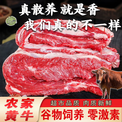 牛肉新鲜生鲜牛腿肉牛里脊牛腱子牛腩奶香速冻保鲜