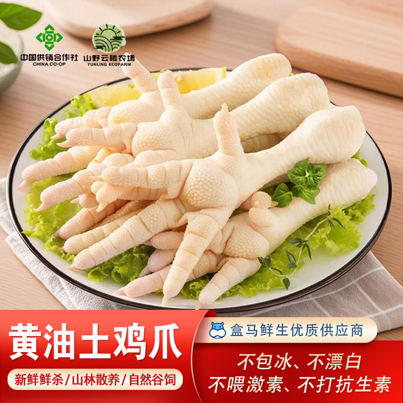 山野云陵黄油土鸡爪生鲜农村土鸡脚爪子散养大号新鲜鲜杀凤爪,水产肉类/新鲜蔬果/熟食,鸡爪/鸡爪制品,淘宝优惠券,粉丝福利购,淘宝优惠卷