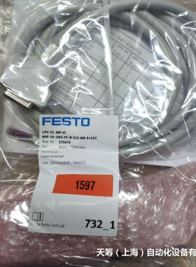 供应德国FESTO 12型阀岛  80P-10-1MS-PF-N-SLG-8M-E+CPT 525675