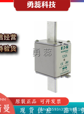 熔断器    500NHG2BI-500 125NHM2B-690 160NHM2B-690