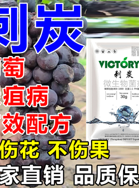刺炭针对葡萄炭疽病专用安全高效配方升级以菌治菌疮痂各作物通用