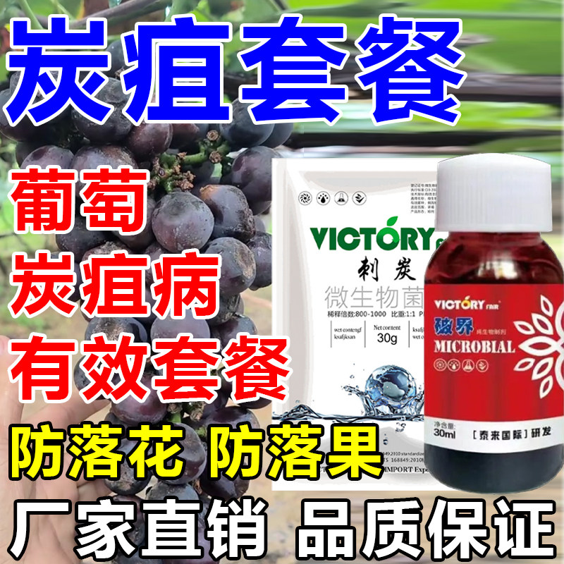 炭疽病套餐刺炭破界炭疽病专用杀菌草莓葡萄辣椒专用厂家直发正品