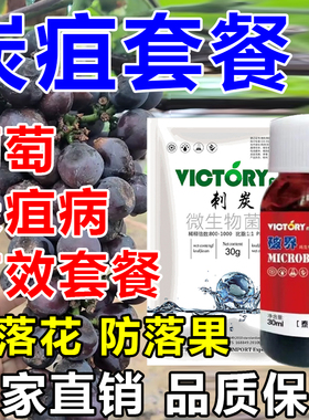 炭疽病套餐刺炭破界炭疽病专用杀菌草莓葡萄辣椒专用厂家直发正品