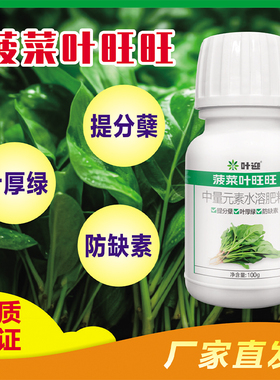 菠菜叶旺旺鲜嫩专用矮壮剂防徒长旺长疯长矮化青菜增产高产叶面肥