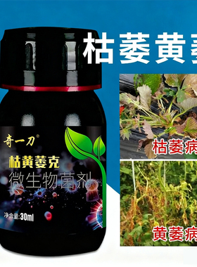 草莓枯萎黄萎病专用药棉花黄瓜番茄草莓茄子枯萎黄萎病专治杀菌剂