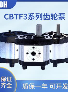 SDH上海大众液压齿轮泵CBTt三模数转向泵特种车油泵电机驱动